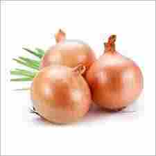 Fresh Organic Pink Onions