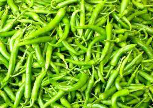Fresh Packaged Green Chilies 