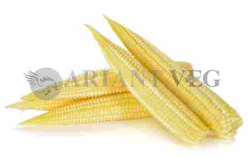 High Nutritions Baby Corn