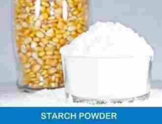 Premium Maize Starch Powder