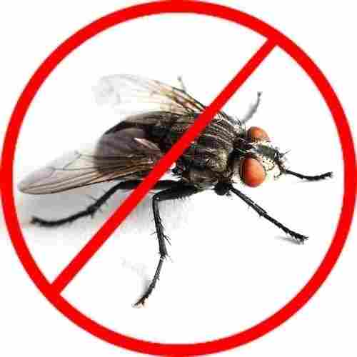 Affordable Fly Control Service