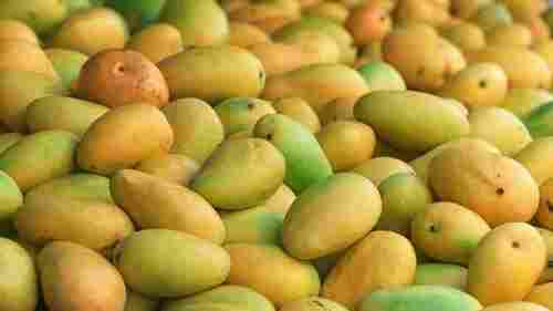 Organic Farm Fresh Mangoes