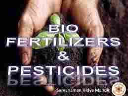 Bio Fertilizer For Fields