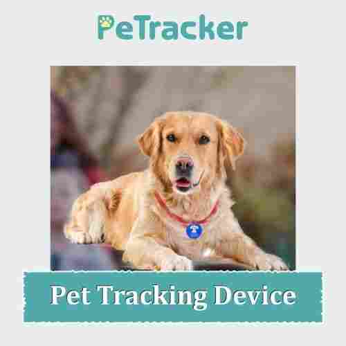 Affordable Pet Tracking Device