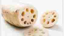 Best Quality Lotus Root