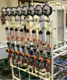 Innovative Electrodialysis Plant For Milk Whey Processing