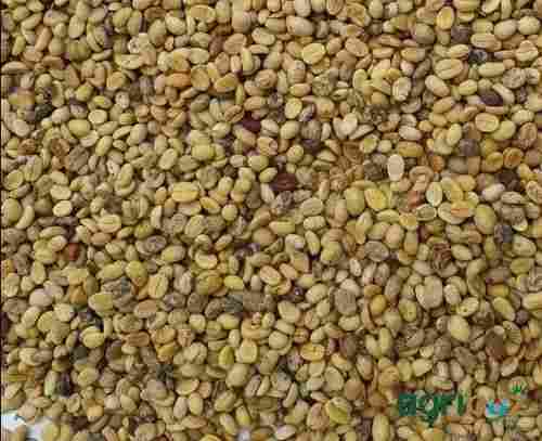 Fresh Organic Coffee Beans