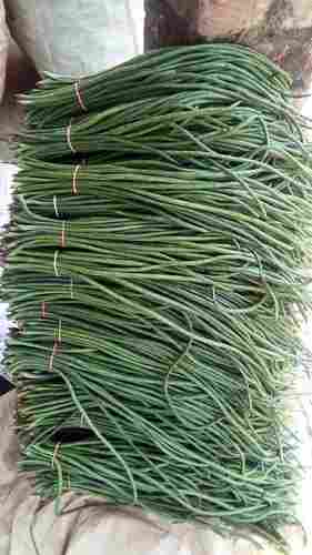 Green Long Beans (Lubia)
