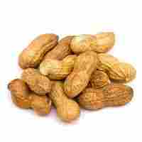 High Nutritional Raw Groundnuts