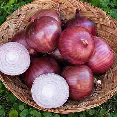 Fresh Organic Red Onion 
