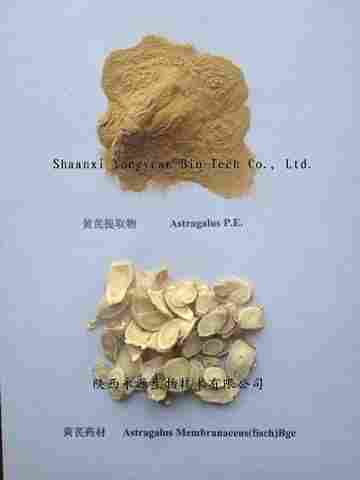 Astragalus Root Extract, Polysaccharides 50%
