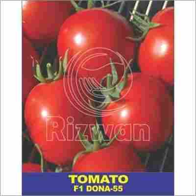 Tomato Seeds F1 - Dona no 55