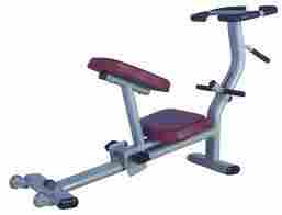 Gym Bench Chair for Bodybuilding