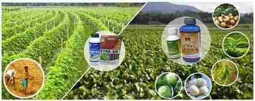 Agricultural Herbal Pesticides