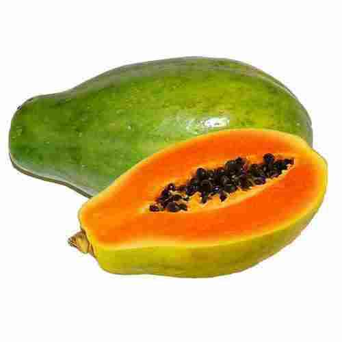 High Quality Fresh Papaya