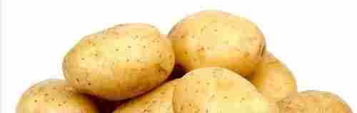 100% Organic Fresh Potatoes