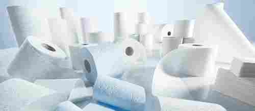 Household and Sanitary Paper