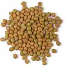 Top Quality Soya Lecithin