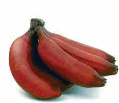 Organic Fresh Red Banana