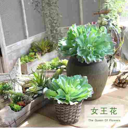 Artificial Succulent Plants (Green Color)