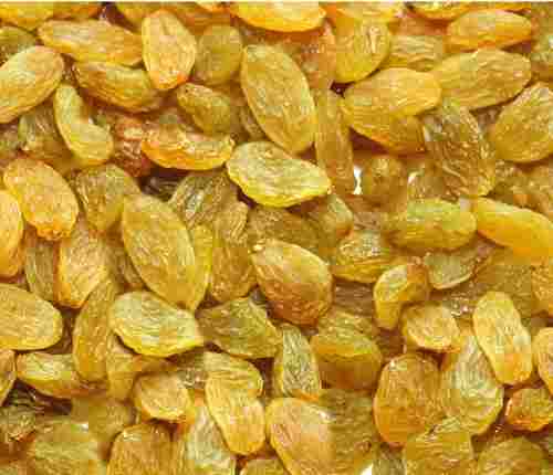 Golden Dried Raisin (Kismis)