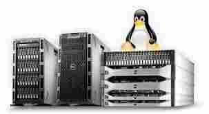 Linux Server Hosting Services