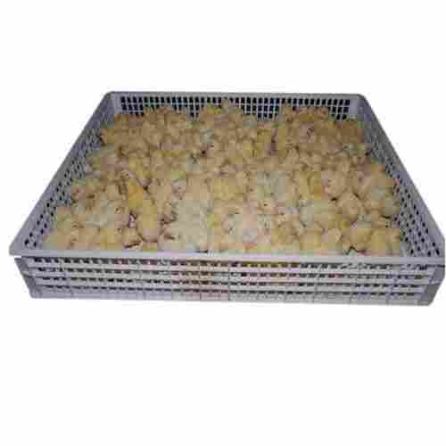 180 Eggs Capacity Hatcher Tray