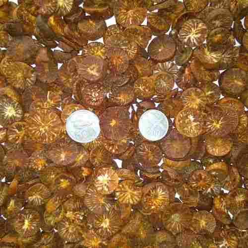 Betel Nuts Sliced Coins Standard