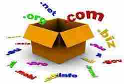 Domain Hosting Service Provider