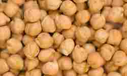 Organic Pure Indian Chickpeas