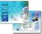 Brochure Design Services Provider
