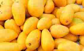 100% Fresh Yellow Mango