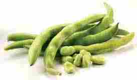 Fresh Green Broad Beans