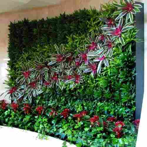 Beautiful Designer Decorative Plant