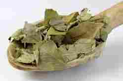 Low Price Dry Curry Leaves