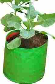 Poly Green Grow Bags
