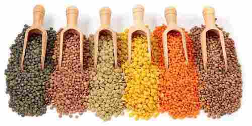Nutritious Top Quality Pulses