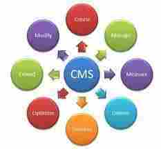 Content Management Services Provider
