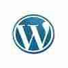 Wordpress Customization Services Provider
