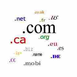 Domain Name Registration Services