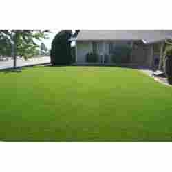 Synthetic Straight Artificial Grass 