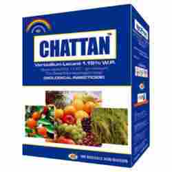 Chattan Verticillium Powder