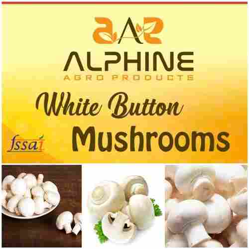 Premium White Button Mushroom