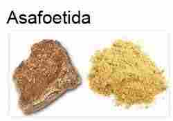 Pure Asafoetida Powder