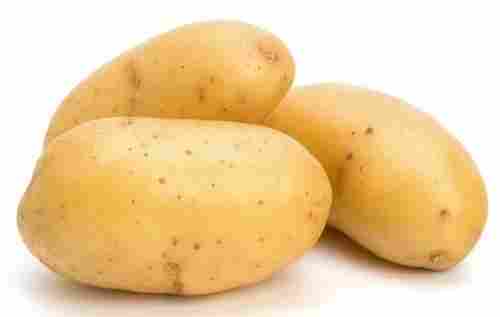 High Grade Fresh Ground Potato 
