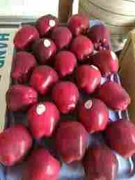 Premium Red Washington Apples