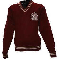 School Uniform V Neck Sweater And Pullover Age Group: 10-50