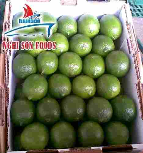 Fresh Seedless Green Lime