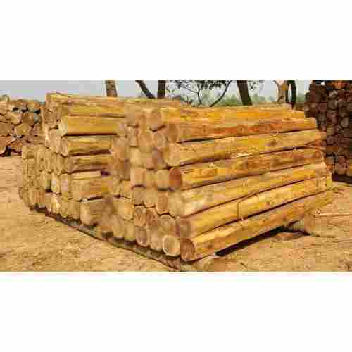 Premium Quality Brazil Wood Log