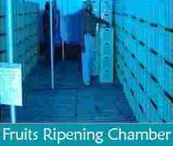 Fruits Ripening Chamber